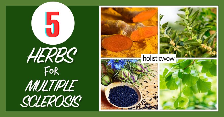 5 Top Herbs to Support Multiple Sclerosis Management 7 Herbs for multiple sclerosis