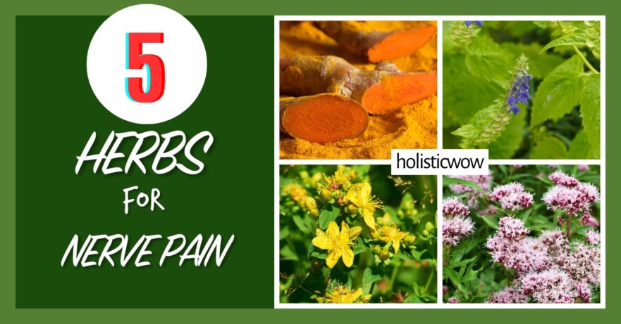 5 Powerful Herbs to Ease Nerve Pain Naturally 31 Herbs for nerve pain