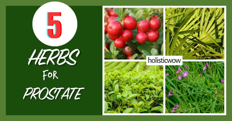 5 Natural Herbs to Support Prostate Health 21 Herbs for prostate