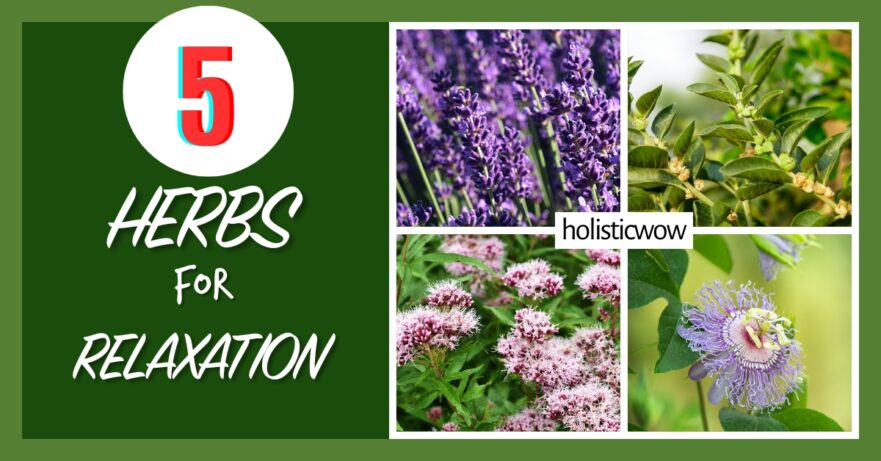 5 Potent Herbs to Naturally Enhance Relaxation 14 Herbs for relaxation