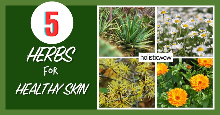 5 Effective Herbs for Radiant and Healthy Skin 35 Herbs for skin