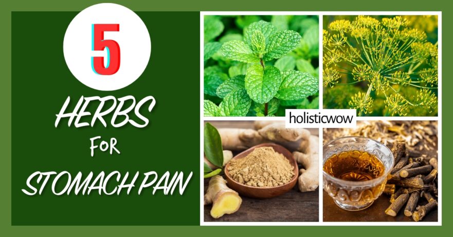 5 Time-Tested Herbs That Calm Stomach Discomfort Fast 1 Herbs for stomach pain