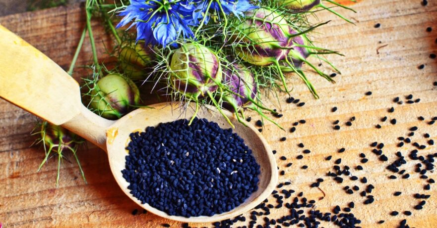 Black Seed Monograph 1 Black seed monograph