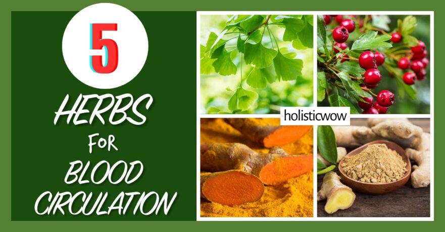 5 Key Herbs to Boost Blood Circulation Naturally 42 Herbs for blood circulation