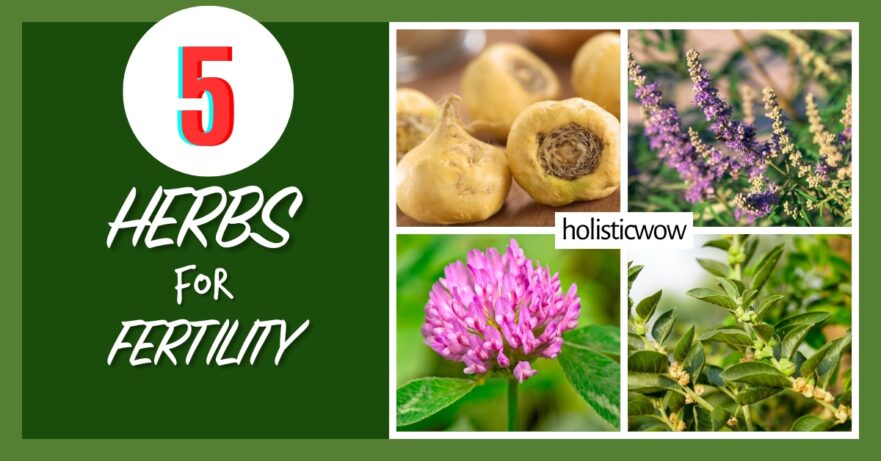 5 Traditional Herbs to Boost Your Fertility Naturally 49 Herbs for fertility