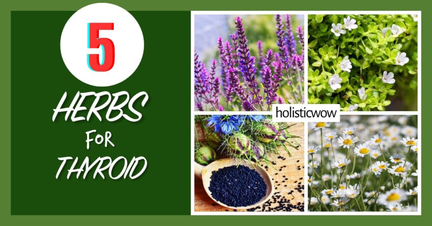 5 Natural Herbs to Nurture Your Thyroid Health 63 Herbs for thyroid