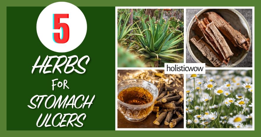 5 Soothing Herbs That Combat Stomach Ulcers 56 Herbs for ulcers
