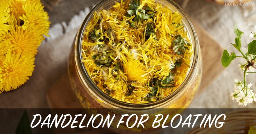 Dandelion for Bloating: Natural Relief and Benefits 36 Dandelion for Bloating