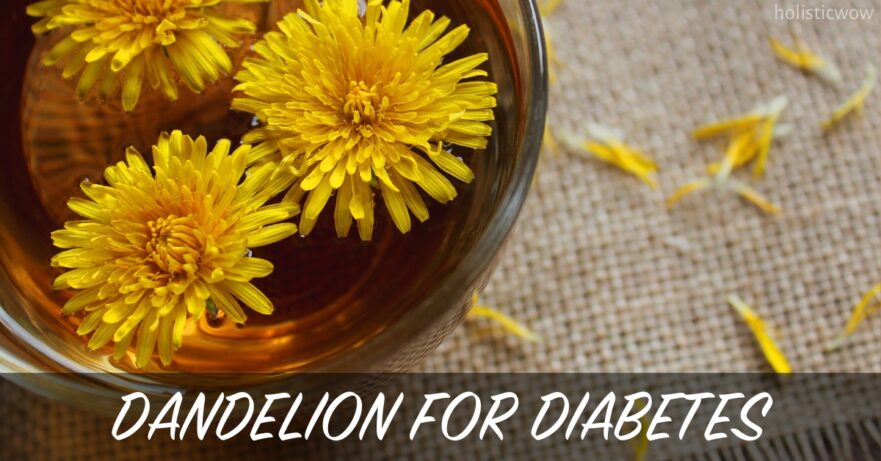Dandelion for Diabetes: Natural Benefits & Effects 31 Dandelion for diabetes