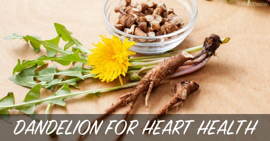 Dandelion for Heart Health: Discover the Benefits 6 Dandelion for heart health