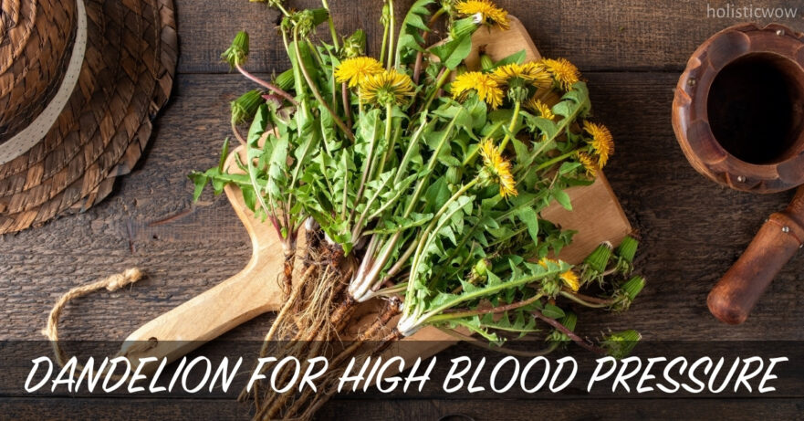 Dandelion for High Blood Pressure: Natural Benefits & Uses 11 Dandelion for high blood pressure