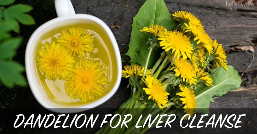 Dandelion for Liver Cleanse: Natural Detox Benefits 41 Dandelion for Liver Cleanse