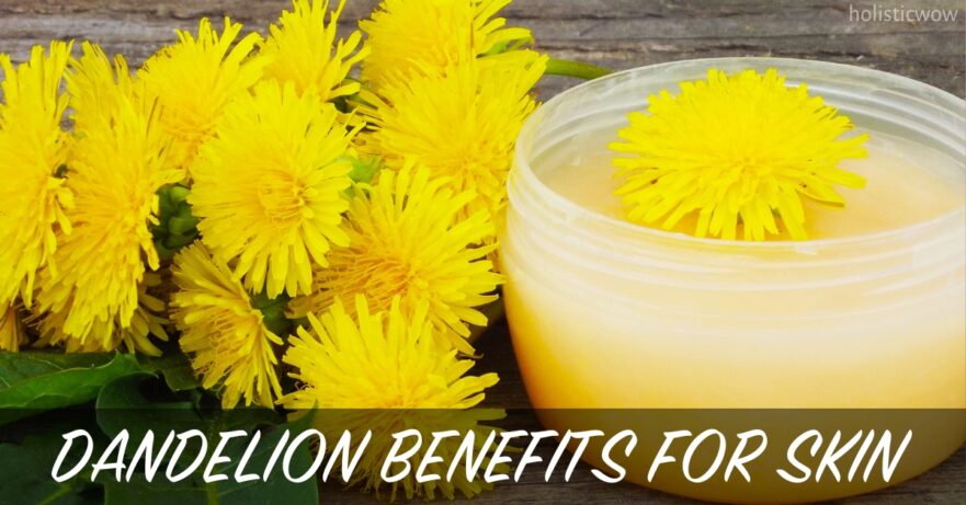 Discover the Skin Benefits of Dandelion: Nature's Secret for Radiant Skin 26 Dandelion for skin