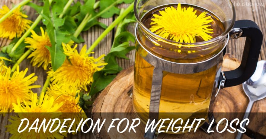 Dandelion for Weight Loss: Discover its Surprising Benefits 46 Dandelion for weight loss