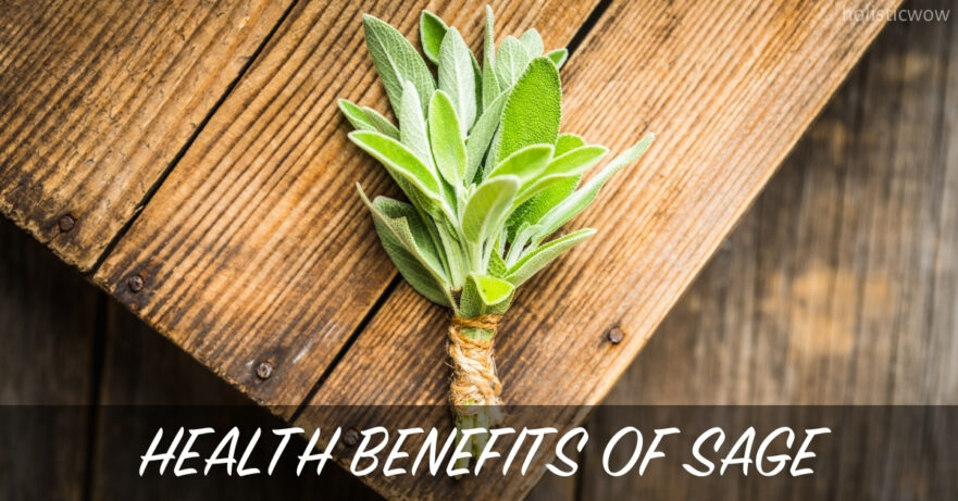 Discover the Health Benefits of Sage: A Powerful Herb for Wellness 16 Health Benefits of Sage