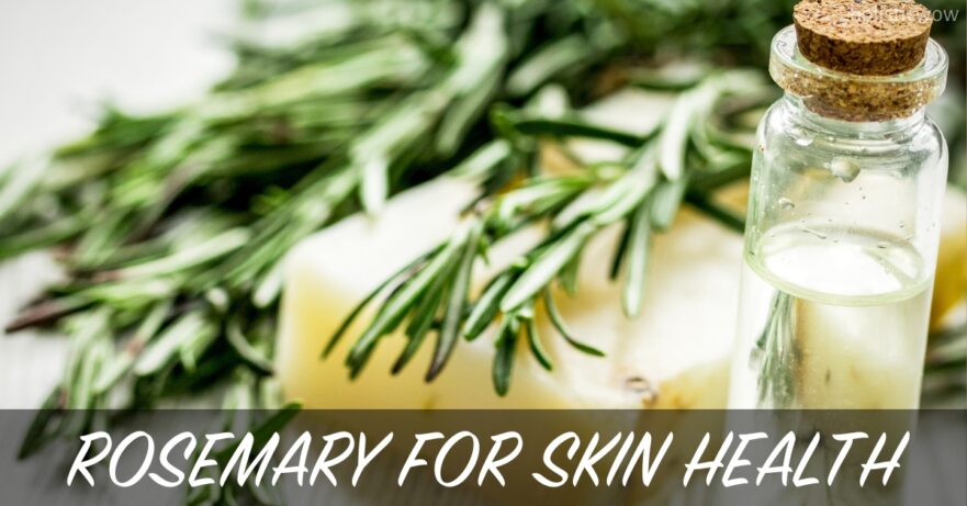 Rosemary for Skin: Discover the Top Benefits for a Radiant Glow 6 Rosemary for skin