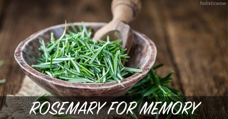 How Rosemary Enhances Memory: Discover Its Cognitive Benefits 1 Rosemary for memory