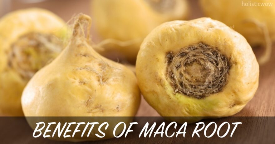 Maca Root Benefits, Uses, and Side Effects 23 Maca root benefits