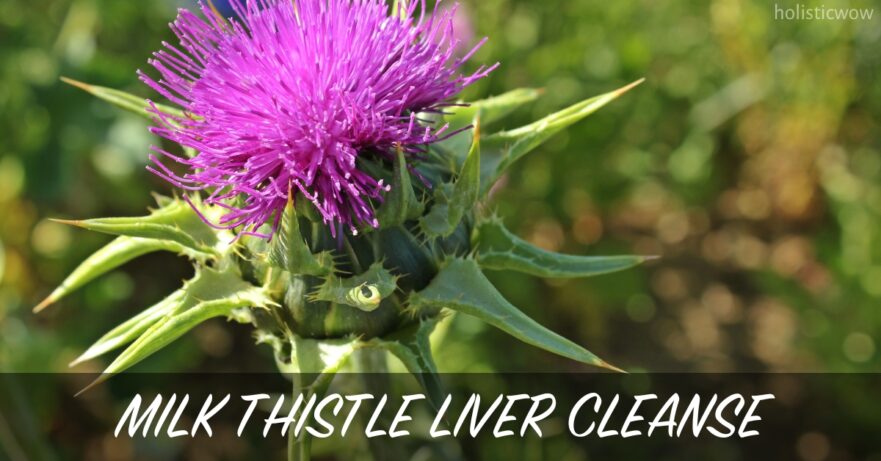 Milk thistle liver cleanse