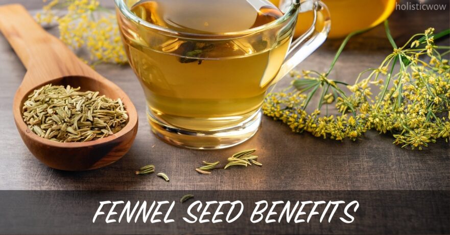 Top 9 Fennel Seed Benefits for Health and Wellness 27 Fennel seed benefits