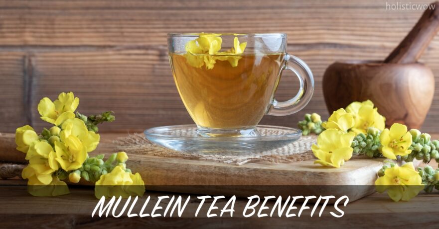 Mullein Tea Benefits: Natural Remedy for Respiratory Health 12 Mullein tea benefits
